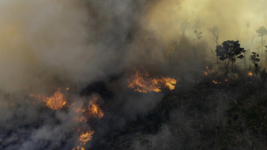 Amazon Forest Burning